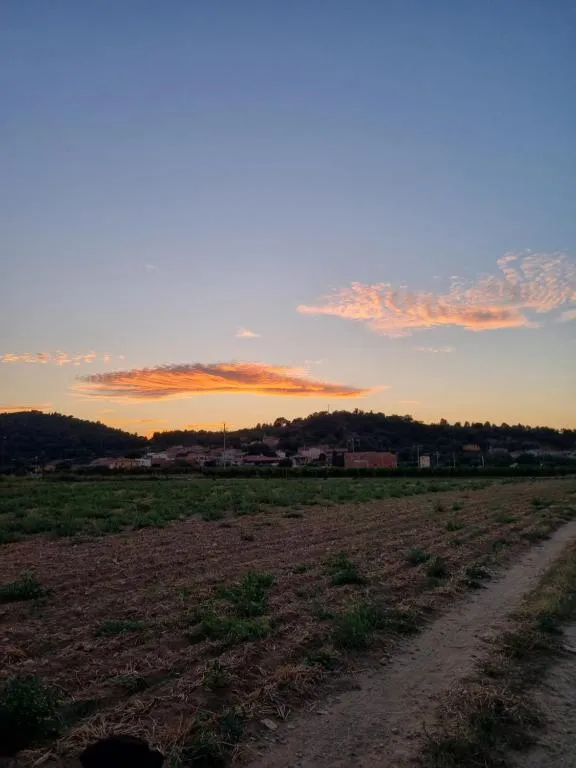Fields of the Alt Empordà at dusk with the village of Masarac silhouetted on the horizon