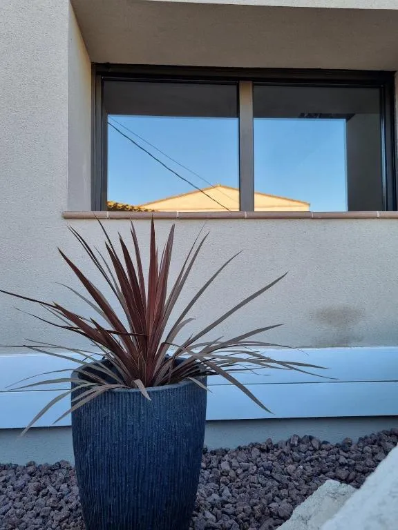 Detail of a façade window with a plant in a dark ceramic pot