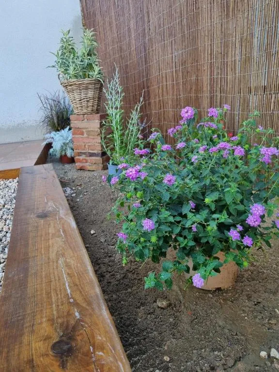 Flower bed with purple flowers and a wooden bench next to the gravel of the patio