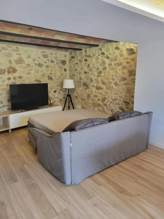 The living-room sofa bed opened and made up for two people, in front of the television